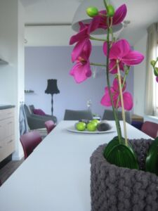 styling grijs met paars